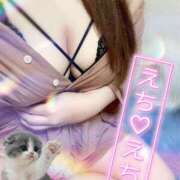 ヒメ日記 2025/06/12 17:35 投稿 ゆい 山梨甲府甲斐ちゃんこ