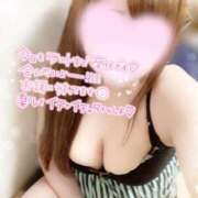 ヒメ日記 2025/07/02 15:00 投稿 ゆい 山梨甲府甲斐ちゃんこ