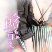 ヒメ日記 2025/07/06 12:57 投稿 ゆい 山梨甲府甲斐ちゃんこ