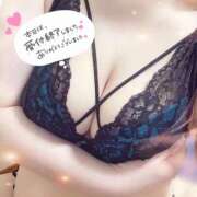 ヒメ日記 2025/07/29 23:11 投稿 ゆい 山梨甲府甲斐ちゃんこ