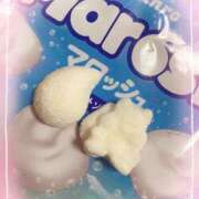 ヒメ日記 2025/08/08 16:55 投稿 ゆい 山梨甲府甲斐ちゃんこ