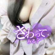 ヒメ日記 2025/09/12 15:36 投稿 ゆい 山梨甲府甲斐ちゃんこ