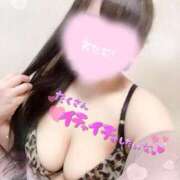 ヒメ日記 2025/11/04 13:46 投稿 ゆい 山梨甲府甲斐ちゃんこ