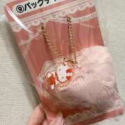 ヒメ日記 2025/11/08 13:02 投稿 ゆい 山梨甲府甲斐ちゃんこ