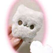 ヒメ日記 2025/11/21 20:24 投稿 ゆい 山梨甲府甲斐ちゃんこ