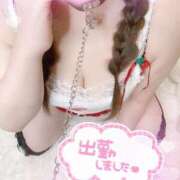 ヒメ日記 2025/12/13 13:58 投稿 ゆい 山梨甲府甲斐ちゃんこ