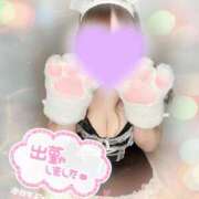 ヒメ日記 2026/01/11 14:57 投稿 ゆい 山梨甲府甲斐ちゃんこ