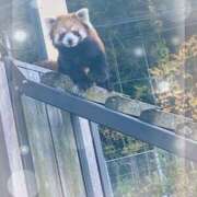 ヒメ日記 2026/01/14 16:33 投稿 ゆい 山梨甲府甲斐ちゃんこ