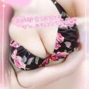 ヒメ日記 2026/02/02 14:12 投稿 ゆい 山梨甲府甲斐ちゃんこ