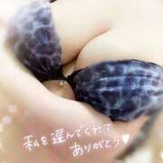 ヒメ日記 2026/02/12 13:44 投稿 ゆい 山梨甲府甲斐ちゃんこ