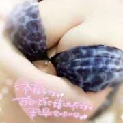 ヒメ日記 2026/04/11 22:02 投稿 ゆい 山梨甲府甲斐ちゃんこ