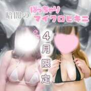 ヒメ日記 2026/04/14 16:02 投稿 ゆい 山梨甲府甲斐ちゃんこ