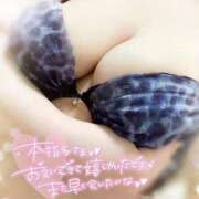 ヒメ日記 2026/05/01 12:31 投稿 ゆい 山梨甲府甲斐ちゃんこ