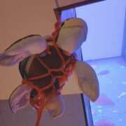 ヒメ日記 2025/04/11 00:29 投稿 宇佐見 みさ 一夜妻