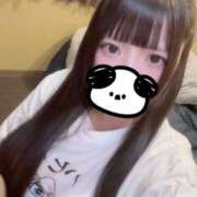 ヒメ日記 2025/02/09 22:35 投稿 Maho（まほ） AMATERAS(アマテラス)(福山)