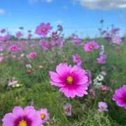 ヒメ日記 2025/05/11 18:04 投稿 こなつ Profile～プロフィール～（那覇）