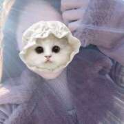 ヒメ日記 2025/02/23 09:25 投稿 りょう セレブクエスト-omiya-