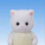 ヒメ日記 2025/05/08 12:20 投稿 かな カリビアン