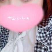 ヒメ日記 2025/04/04 07:14 投稿 もえ 山口周南ちゃんこ