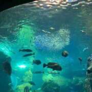 ヒメ日記 2025/07/22 14:45 投稿 みき 池袋デリヘル倶楽部