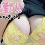 ヒメ日記 2025/09/12 10:55 投稿 みき 池袋デリヘル倶楽部