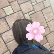 ヒメ日記 2025/03/24 11:15 投稿 じゅり 奥様鉄道69 東京店