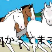 ヒメ日記 2025/09/07 10:05 投稿 じゅり 奥様鉄道69 東京店