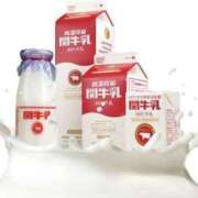 ヒメ日記 2025/03/03 08:50 投稿 れな エディーズ