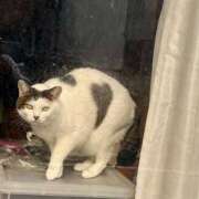 ヒメ日記 2025/03/15 08:36 投稿 れな エディーズ