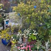 ヒメ日記 2025/04/16 09:16 投稿 れな エディーズ