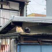 ヒメ日記 2025/05/12 20:16 投稿 れな エディーズ