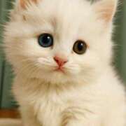 ヒメ日記 2025/07/10 08:56 投稿 れな エディーズ