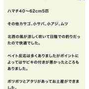 ヒメ日記 2025/08/22 22:40 投稿 れな エディーズ