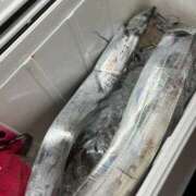 ヒメ日記 2025/09/01 19:06 投稿 れな エディーズ