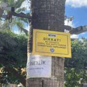 ヒメ日記 2025/10/24 17:07 投稿 れな エディーズ