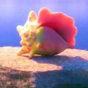 ヒメ日記 2025/11/25 08:37 投稿 れな エディーズ