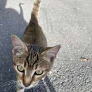 ヒメ日記 2025/12/09 09:06 投稿 れな エディーズ