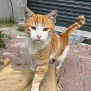 れな いざ岐阜へ🚃 エディーズ