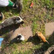 ヒメ日記 2025/12/18 08:26 投稿 れな エディーズ