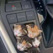 れな 出勤更新しました✅ エディーズ