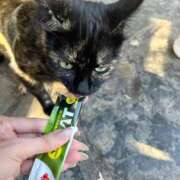 れな さむ〜い！ エディーズ