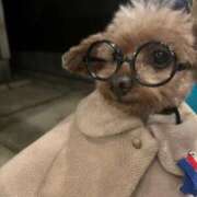 ヒメ日記 2025/12/24 23:26 投稿 れな エディーズ