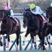 ヒメ日記 2026/01/27 09:19 投稿 れな エディーズ