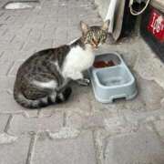 ヒメ日記 2026/01/30 09:16 投稿 れな エディーズ