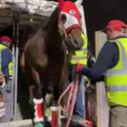 ヒメ日記 2026/02/05 09:26 投稿 れな エディーズ