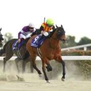 ヒメ日記 2026/02/22 19:16 投稿 れな エディーズ