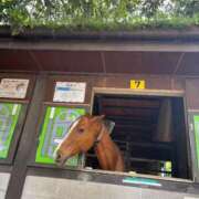 れな もうすぐGW！ エディーズ