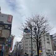 ヒメ日記 2025/03/31 10:34 投稿 水野かほ ヌルテカ