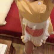 ヒメ日記 2025/04/19 20:29 投稿 かな ラズベリードール