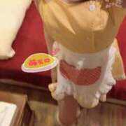 ヒメ日記 2025/10/10 10:28 投稿 かな ラズベリードール